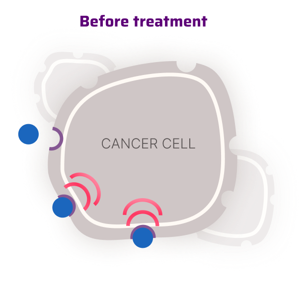 Hormones Binding to Receptors on a Cancer Cell