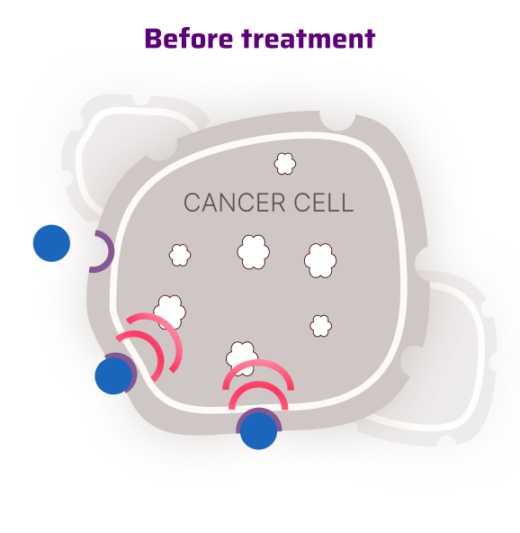 Overactive Signaling Activating CDK4/6 in Cancer Cells