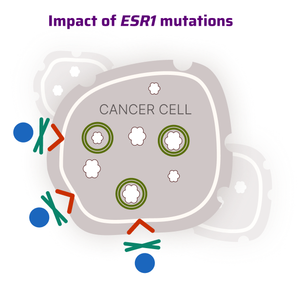 ESR1 Mutations Causing Resistance to Aromatase Inhibitors