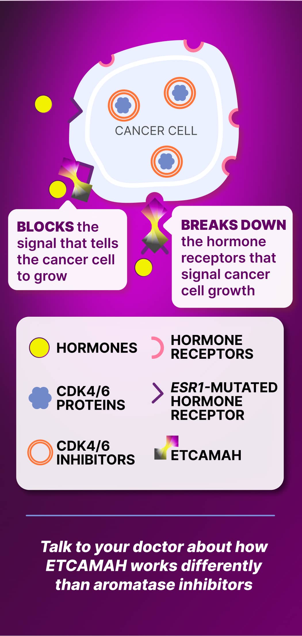 ETCAMAH Mechanism of Action